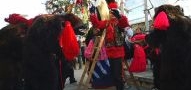 Politia comunitara, pe urmele ursului 
